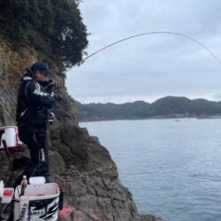和歌山県串本須江（浜勝渡船）でグレ釣り大会